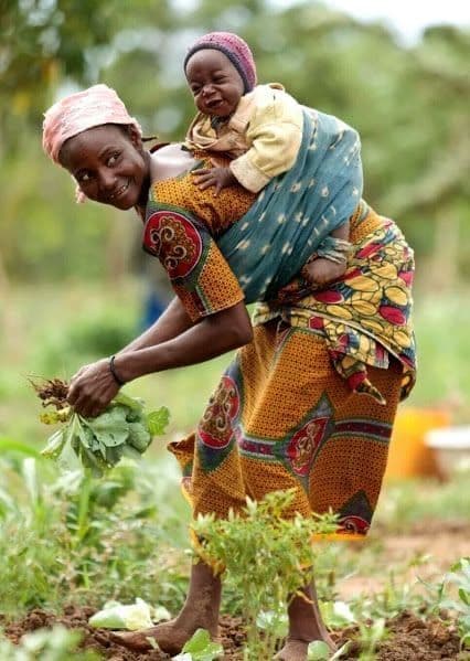 A mother carrying her child while tending vegetables